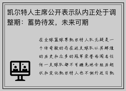 凯尔特人主席公开表示队内正处于调整期：蓄势待发，未来可期